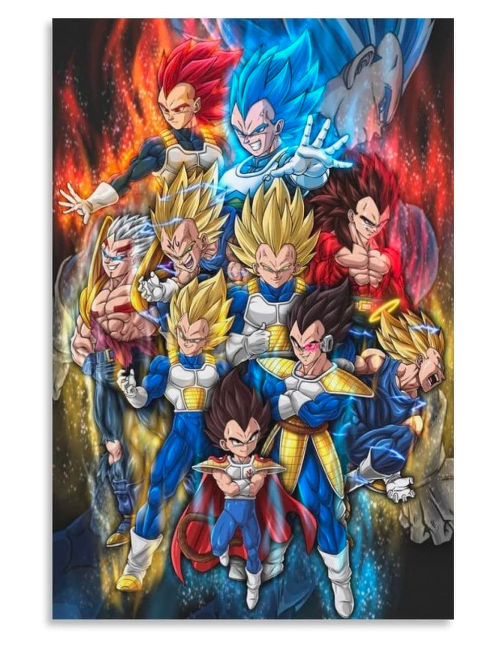 The Evolution of Vegeta Poster